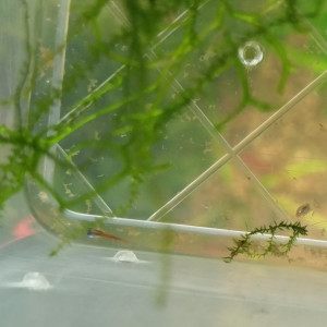 Publication de lolo95