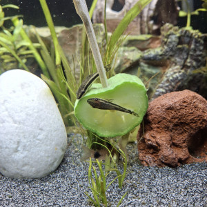 Publication de StephL