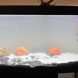 Publication de Bibii07