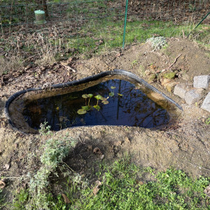 Publication de Scylla_59