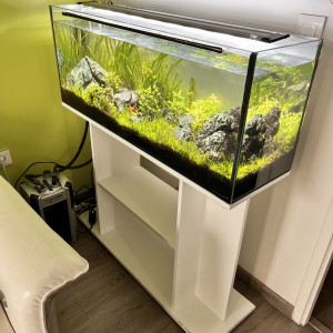 Aquarium 110 L + meuble. Planté et stabilisé