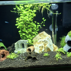 Publication de StephL