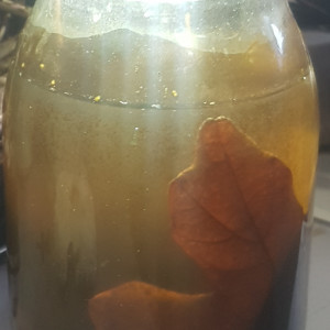 Publication de LiquidPaper2008