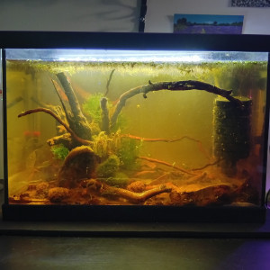 Publication de LilithLisa