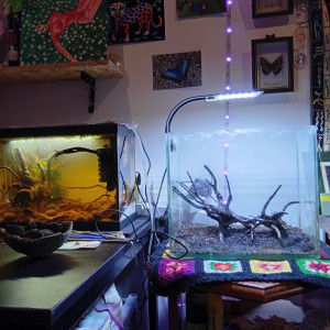 Publication de LilithLisa