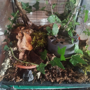 Publication de Orion07