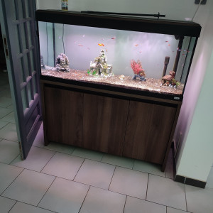 Aquarium Fluval 240 Litres