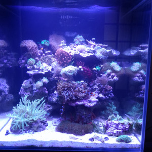 Publication de sebastien-duffau