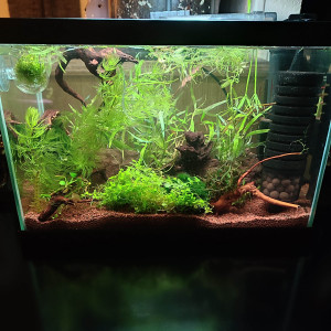 20 L