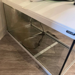 Faire offre pour 2 aquariums + nourriture et accessoires