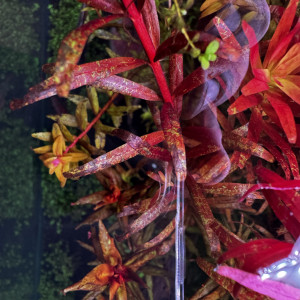 Publication de Alex75008