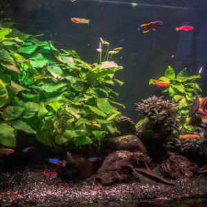 Publication de Peio64