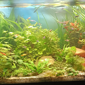 Publication de ALAIN5153