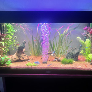 Publication de lucas.elodie