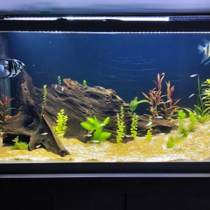 Publication de Cojuba76