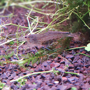 Publication de Juwel69