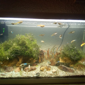 Publication de J2f.aqua