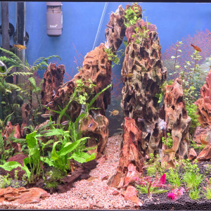 Publication de Yannick66