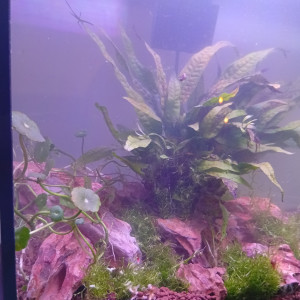 Publication de LilithLisa