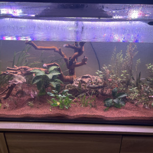 Publication de Zakaria