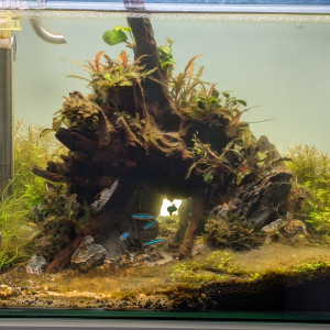 Publication de Jo2212