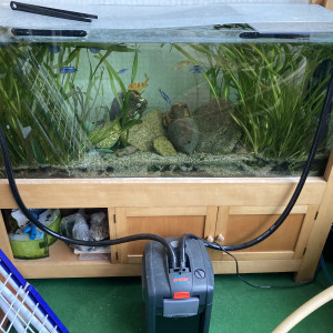Trois Aquariums