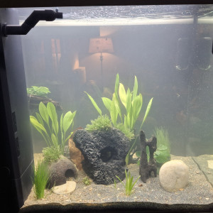 Publication de StephL