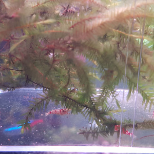 Publication de Juwel69