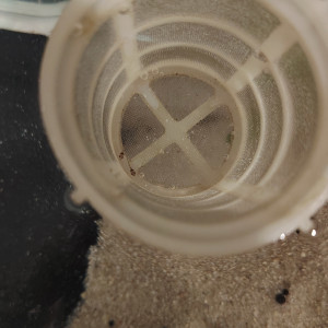 Publication de Flo83