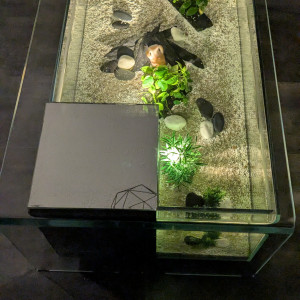 Publication de Jenropa