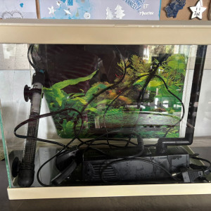 Aquarium 20l + pompe Ciano CF80 + matériel