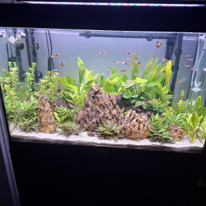 Publication de Guiguidu57