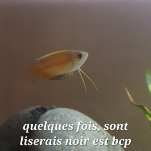 Publication de Rowelor0611