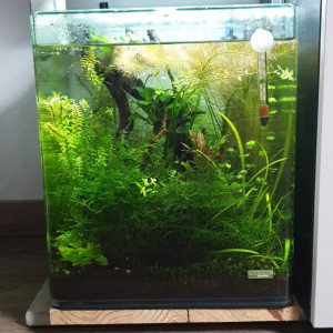 nano 30l amazonia