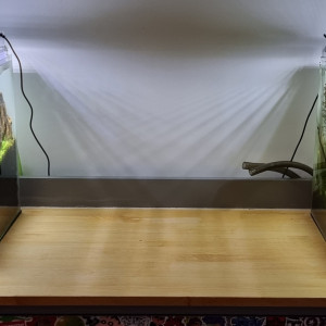 Publication de boubou59