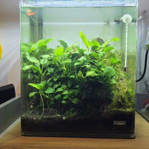 Publication de boubou59