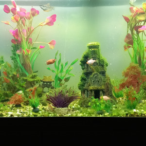 Publication de mikey