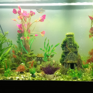 Publication de mikey