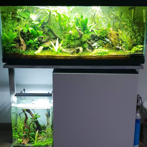 Publication de boubou59