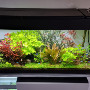 120l v2