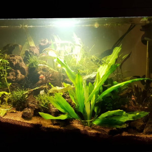 Publication de boubou59