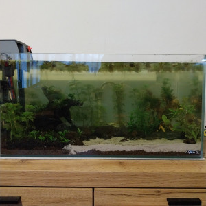 Publication de Yoshi971