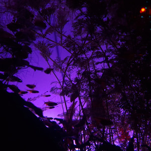 Publication de ArtemusKlegg