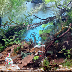 Publication de ArtemusKlegg