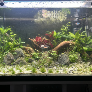 Publication de Cabernet