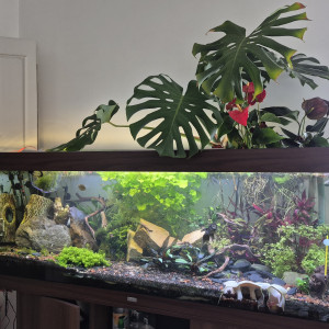 Publication de crousti