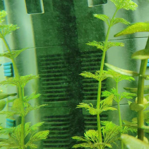 Publication de thomassss