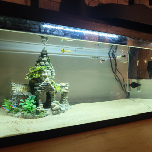 Publication de cyril-espinasse