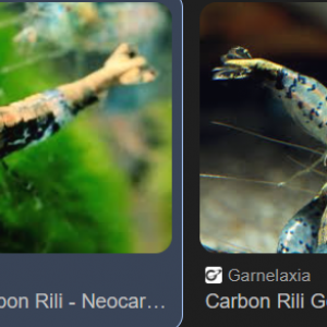 Publication de Natu9110