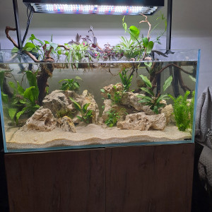 Publication de Silvasud